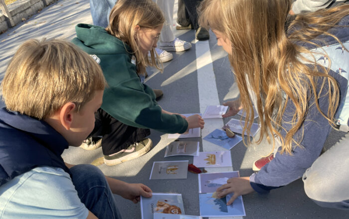 Jungschar, Kinder zwischen 8 und 13 Jahren